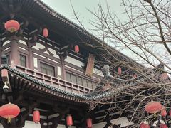-华清宫景区