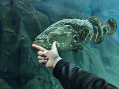 -福州罗源湾海洋世界旅游区