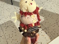 -哈根达斯(上海金山店)