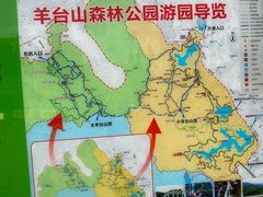 -阳台山森林公园