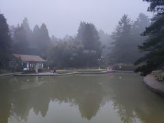 -庐山风景区花径公园