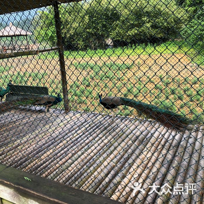 龙川湾千岛湖国际垂钓中心