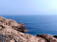 -广东惠东海龟国家级自然保护区