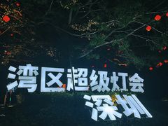 -欢乐海岸椰林沙滩-2025湾区超级灯会