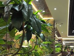 -寻牛记潮汕牛肉火锅(双喜城店)
