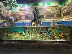 -顺德南宏海立方海洋公园