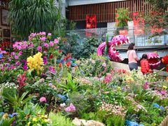 -沈阳植物园