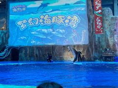 -华夏文旅海洋公园