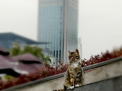 -UNI UNI(环亚凯瑟琳店)