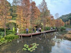 -云溪植物园