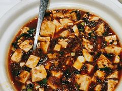 麻婆豆腐-眉州东坡(鸿坤店)