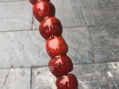 -陈记卤煮小肠