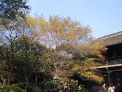 -何园