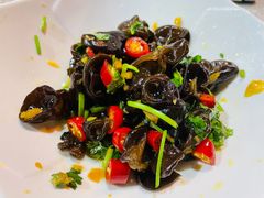 飘香竹耳-墨脱石锅椰子鸡•香草鸭•东山羊(大东海店)