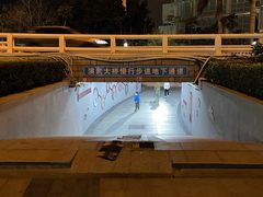 -演武大桥观景平台