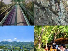 -海南槟榔谷黎苗文化旅游区
