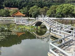 -红山村