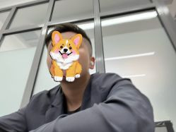 -大象造型