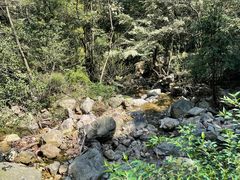 -北仑森林植物园