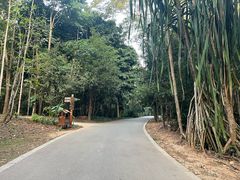 -中国科学院西双版纳热带植物园