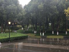 -重庆市江北嘴中央商务区中央公园