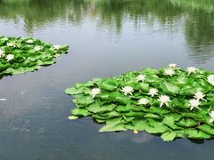 -前关湿地公园