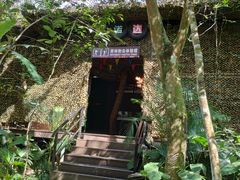 -呀诺达热带雨林