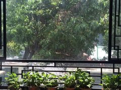 -清心素食自助餐厅(夫子庙店)