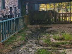 -哈尔滨北方森林动物园