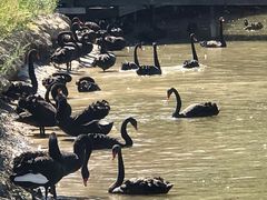 -新疆天山野生动物园