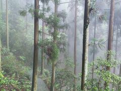 -东天目山风景区