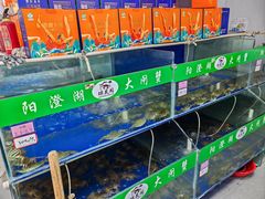 -阳澄湖大闸蟹·琼灵阁牌品牌连锁(吴中总店)