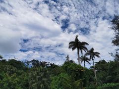 -鹅銮鼻公园