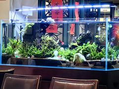 -阿莉餐厅(枣阳路店)