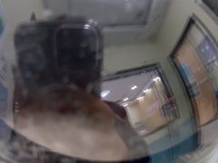 -天宠宠物医院24小时·急重症诊疗中心·全科·腔镜特色(和平分院)