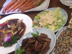 蔬菜沙拉-青瓦餐厅·生鱼片·韩园烤肉(西塔店)