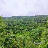 闯入熊猫🐼睡眠王国？[害羞]