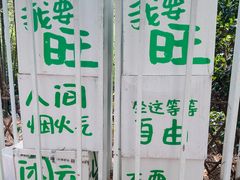 -九龙潭景区