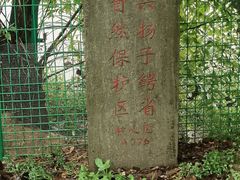 -中国扬子鳄村