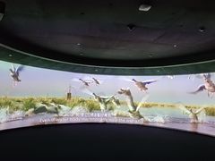 -中国湿地博物馆