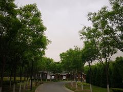 -永定河休闲森林公园