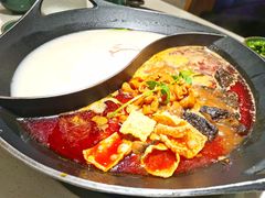 螺蛳肥肠鱼火锅-新辣道鱼火锅(上地华联店)