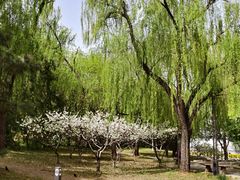 -元大都城垣遗址公园