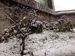 iphone_upload_pic-天河潭旅游度假区