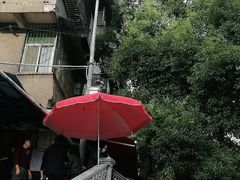 -半月镰胡姐脆皮萝卜饺子
