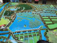 -池杉湖湿地公园