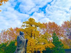 -苏州文庙(姑苏区)