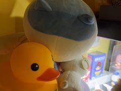 -谜盒子奇幻密室(南屏店)