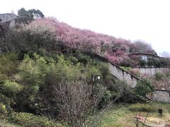 -叁个大叔的面隔壁烧烤(崇和路店)