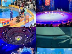 -海合安武汉极地海洋公园
